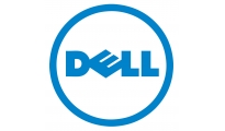 DELL PERC H755 RAID controller PCI Express