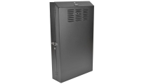 Tripp Lite SRWF4U36 rack 4U Wandrek Zwart